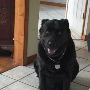 Meet your Posher, Miki